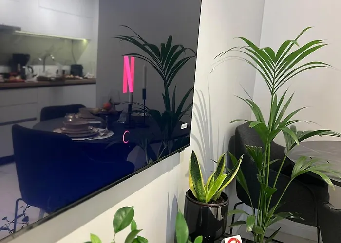 Apartament Thess *